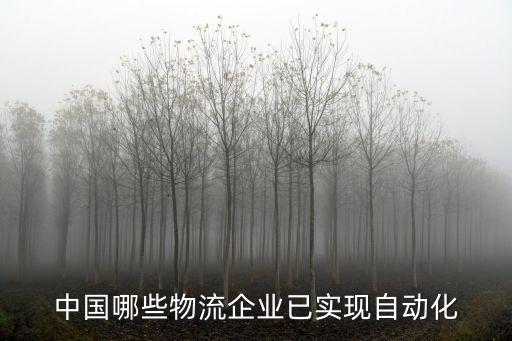 中國哪些物流企業(yè)已實(shí)現(xiàn)自動(dòng)化