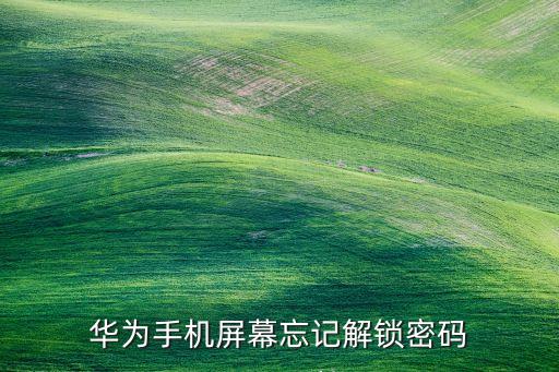 華為忘記鎖屏密碼，華為手機屏幕密碼忘記了怎樣解鎖