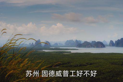 蘇州 固德威普工好不好