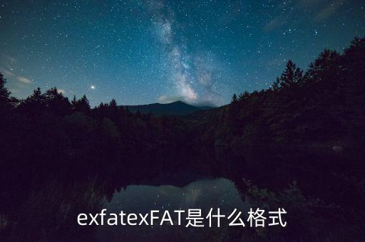 exfatexFAT是什么格式