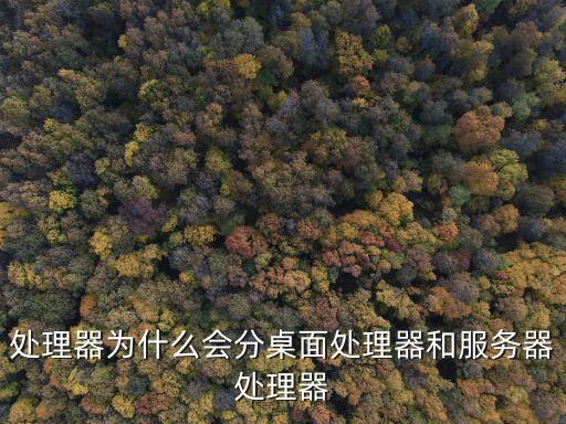 服務(wù)器處理器，服務(wù)器處理器和桌面級處理器有什么不同