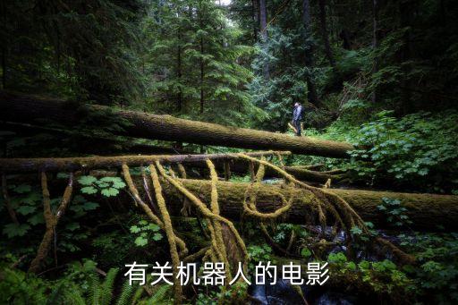 有關(guān)機器人的電影