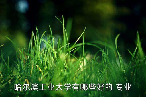 哈爾濱工業(yè)大學(xué)有哪些好的 專業(yè)