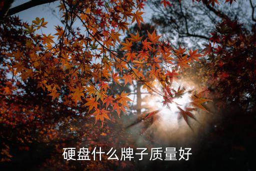 硬盤什么牌子質(zhì)量好