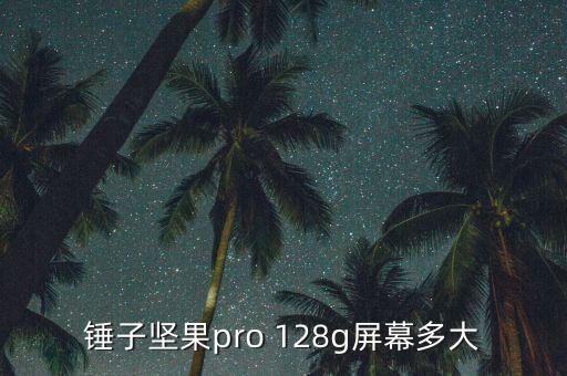 堅(jiān)果pro參數(shù)，錘子堅(jiān)果pro 128g屏幕多大
