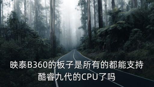 映泰B360的板子是所有的都能支持酷睿九代的CPU了嗎
