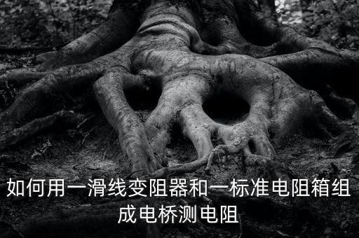 滑線變阻器，滑動(dòng)變阻器按照什么原則串聯(lián)接入電路