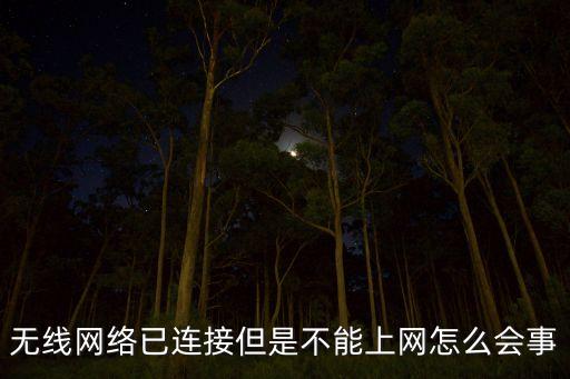 無線網(wǎng)絡(luò)已連接但是不能上網(wǎng)怎么會事