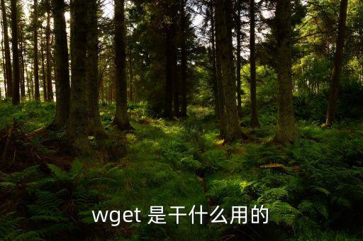 wget 是干什么用的