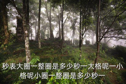 秒表大圈一整圈是多少秒一大格呢一小格呢小圈一整圈是多少秒一