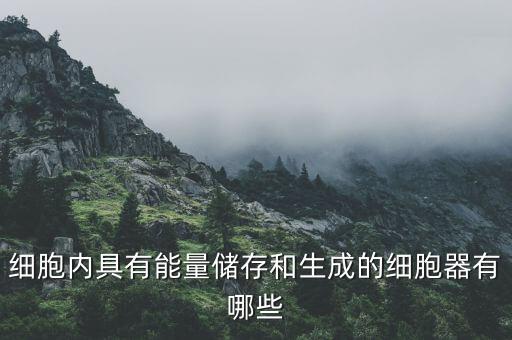 細(xì)胞內(nèi)具有能量?jī)?chǔ)存和生成的細(xì)胞器有哪些