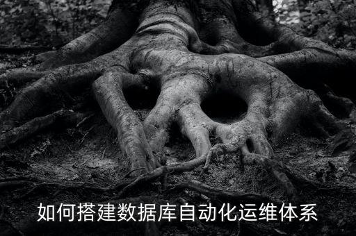 如何搭建數(shù)據(jù)庫自動化運維體系