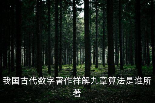 我國(guó)古代數(shù)字著作祥解九章算法是誰(shuí)所著