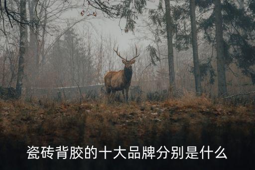 瓷磚背膠的十大品牌分別是什么