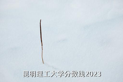 電氣工程自動化預(yù)錄取