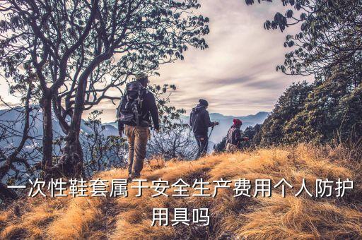 鞋套自動(dòng)化設(shè)備,為什么不帶鞋套?因?yàn)椴淮餍走M(jìn)不了機(jī)房