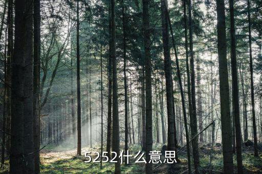 5252，5252什么意思