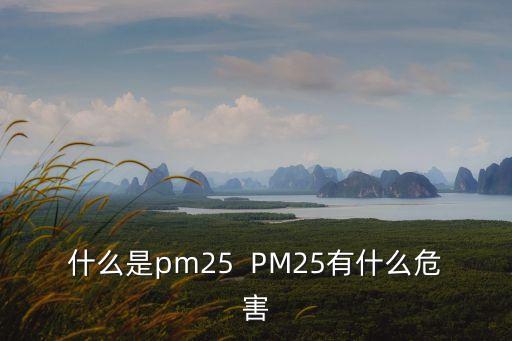 什么是pm25  PM25有什么危害