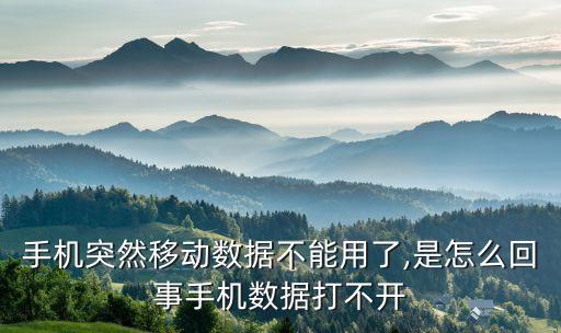 移動數(shù)據(jù)關(guān)閉了怎么辦,手機移動數(shù)據(jù)功能關(guān)閉了怎么恢復(fù)?