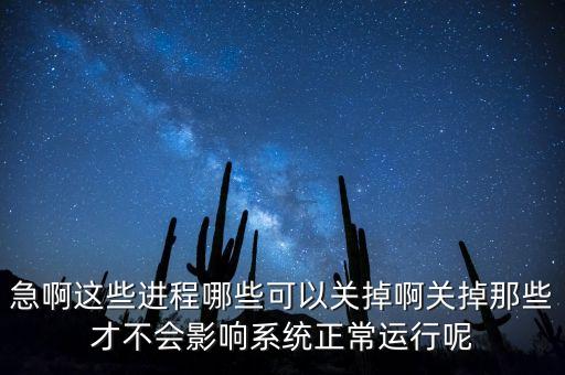 急啊這些進(jìn)程哪些可以關(guān)掉啊關(guān)掉那些才不會(huì)影響系統(tǒng)正常運(yùn)行呢