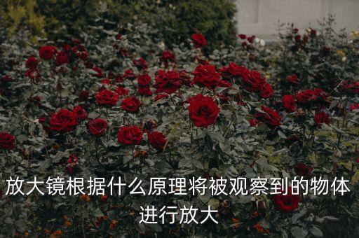 放大鏡根據(jù)什么原理將被觀察到的物體進(jìn)行放大
