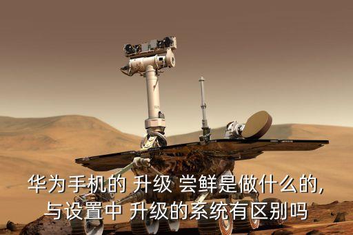 升級(jí)嘗鮮,oppo升級(jí)嘗鮮
