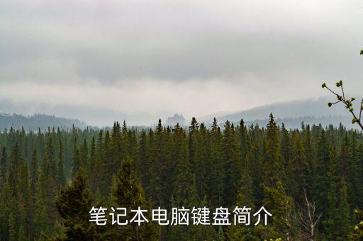 筆記本電腦鍵盤簡介