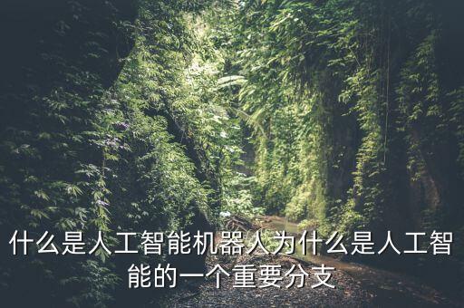 機器人 人工智能52rbt,人工智能和機器人的區(qū)別