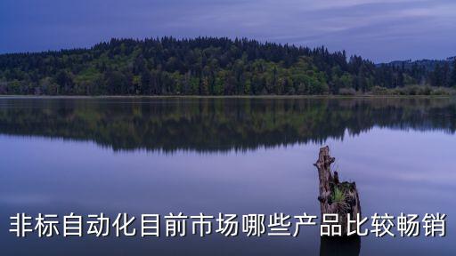 非標(biāo)自動(dòng)化目前市場(chǎng)哪些產(chǎn)品比較暢銷