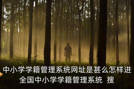 管理系統(tǒng)入口，中小學(xué)學(xué)籍管理系統(tǒng)網(wǎng)址是甚么怎樣進(jìn)全國中小學(xué)學(xué)籍管理系統(tǒng)  搜