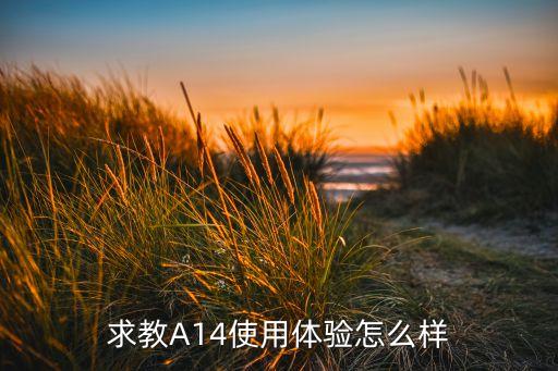 a14，火車票侯車A14是什么意思