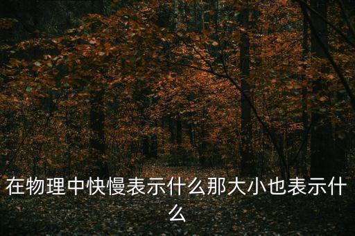 在物理中快慢表示什么那大小也表示什么