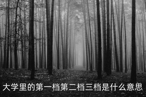 大學(xué)里的第一檔第二檔三檔是什么意思