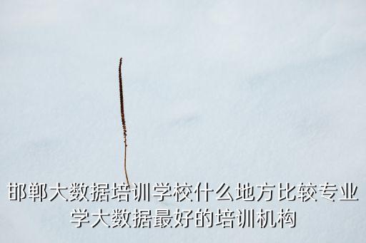 邯鄲大數(shù)據(jù)培訓(xùn)學(xué)校什么地方比較專業(yè)學(xué)大數(shù)據(jù)最好的培訓(xùn)機(jī)構(gòu)