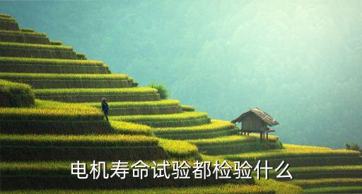 壽命試驗(yàn)，電機(jī)壽命試驗(yàn)都檢驗(yàn)什么