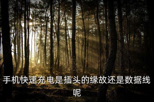 手機快速充電是插頭的緣故還是數(shù)據(jù)線呢