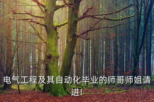 電氣工程及其自動(dòng)化畢業(yè)的師哥師姐請(qǐng)進(jìn)!