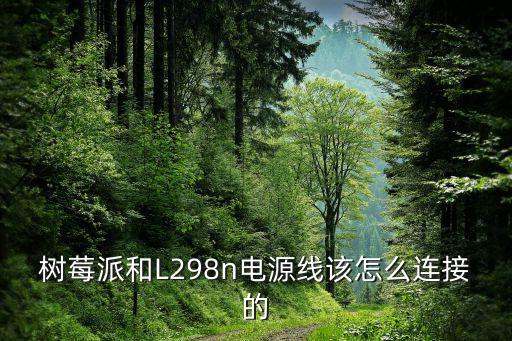 樹莓派和L298n電源線該怎么連接的