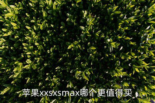 蘋果xxsxsmax哪個更值得買