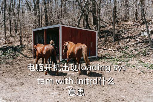 電腦開(kāi)機(jī)出現(xiàn)loading system with initrd什么意思