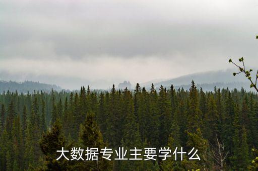 大數(shù)據(jù)專業(yè)主要學(xué)什么