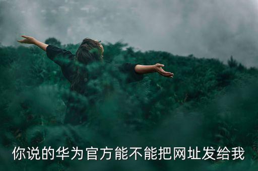 你說的華為官方能不能把網(wǎng)址發(fā)給我