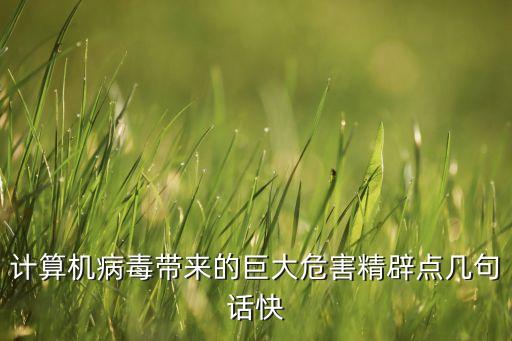 計(jì)算機(jī)病毒帶來的巨大危害精辟點(diǎn)幾句話快