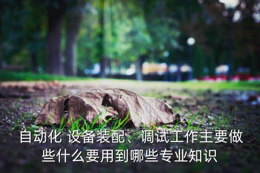  自動化 設備裝配、調(diào)試工作主要做些什么要用到哪些專業(yè)知識