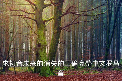 求初音未來的消失的正確完整中文羅馬音
