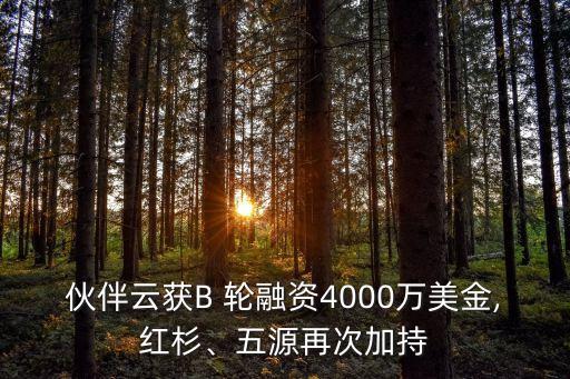 伙伴云獲B 輪融資4000萬美金,紅杉、五源再次加持