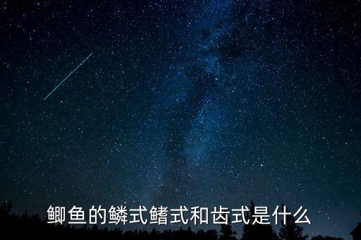 鯽魚的鱗式鰭式和齒式是什么