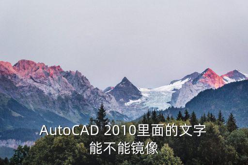 AutoCAD 2010里面的文字能不能鏡像