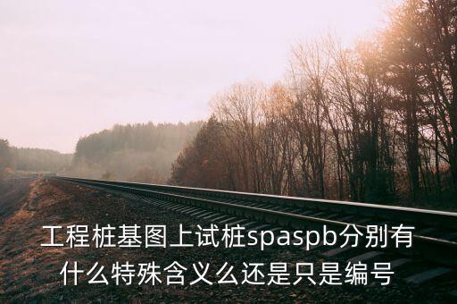 spb，工程樁基圖上試樁spaspb分別有什么特殊含義么還是只是編號(hào)