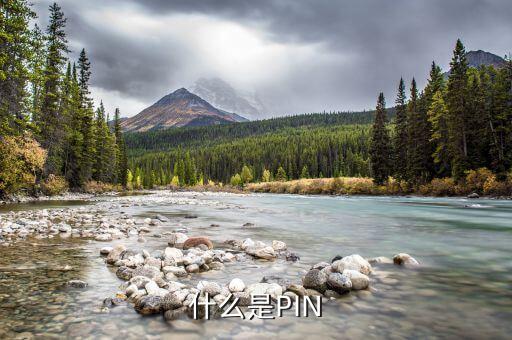 pin，什么是PIN碼